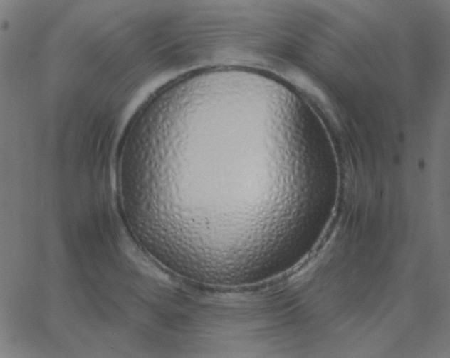 X0000067931280200604271959