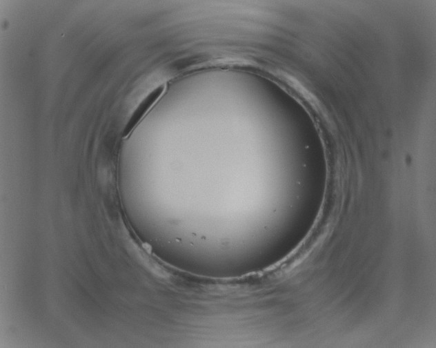 X0000067931281200604271959