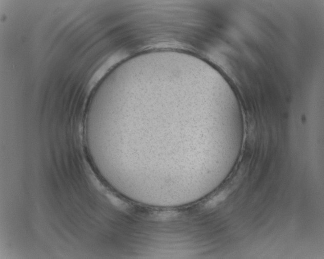 X0000067931282200604271959