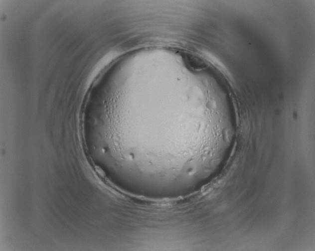 X0000067931283200604271959