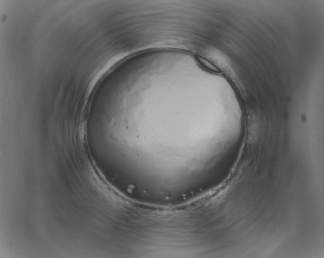 X0000067931284200604271959