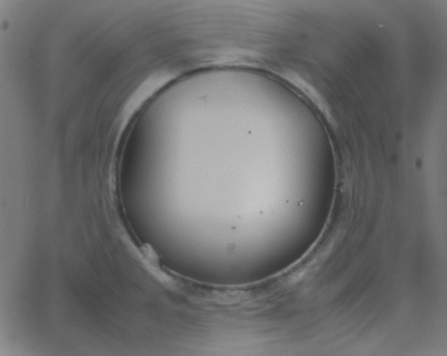 X0000067931285200604271959