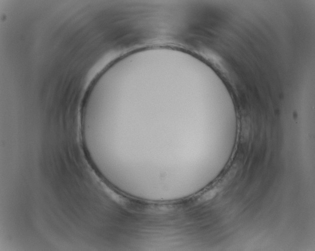 X0000067931286200604271959