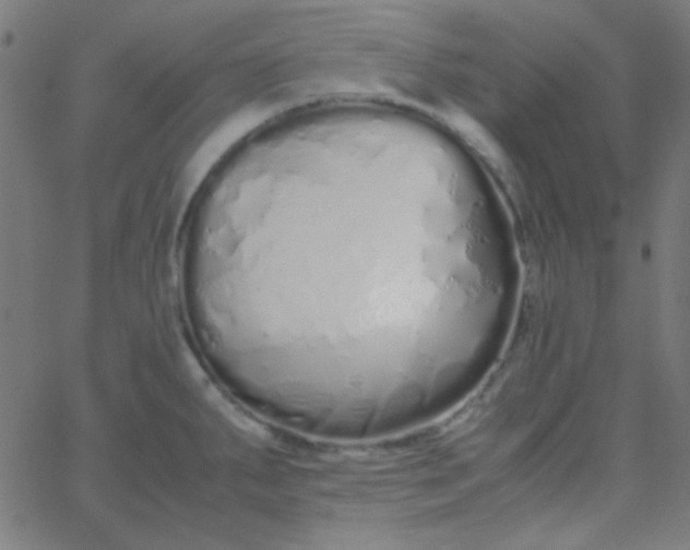 X0000067931287200604271959