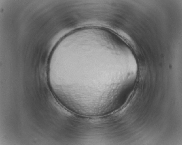 X0000067931288200604271959