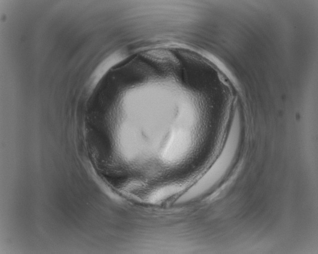 X0000067931289200604271959