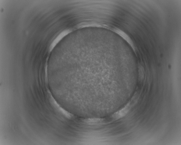 X0000067931290200604271959