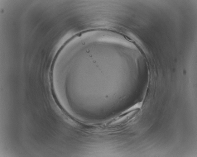 X0000067931291200604271959