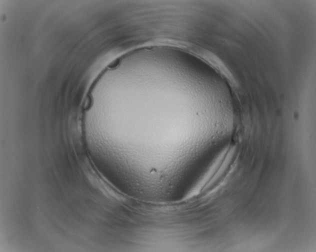 X0000067931292200604271959