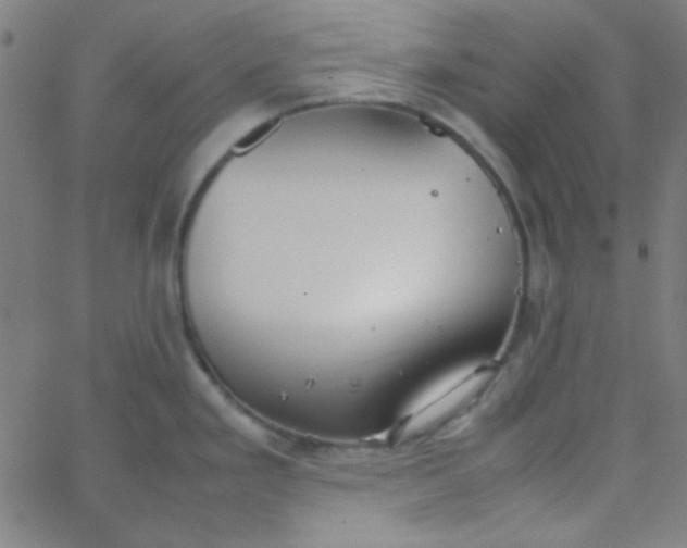 X0000067931293200604271959