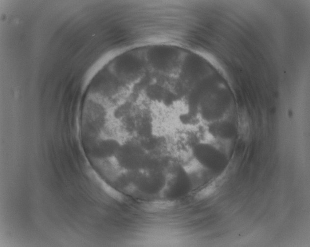 X0000067931294200604271959