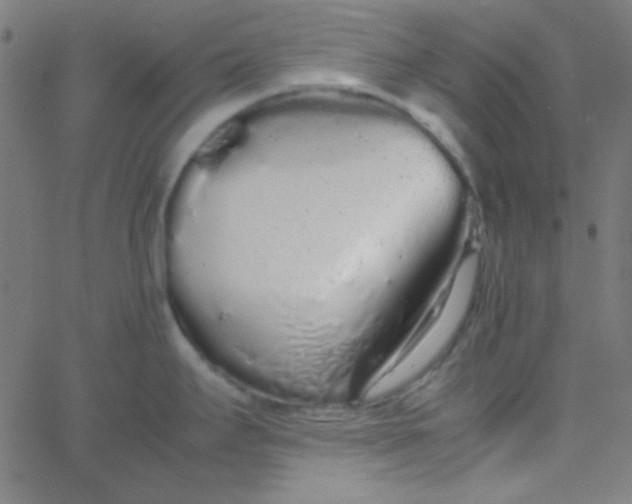 X0000067931295200604271959