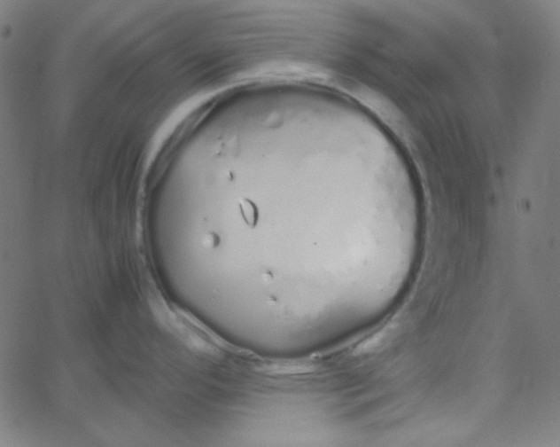 X0000067931296200604271959