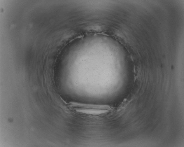 X0000067931297200604271958