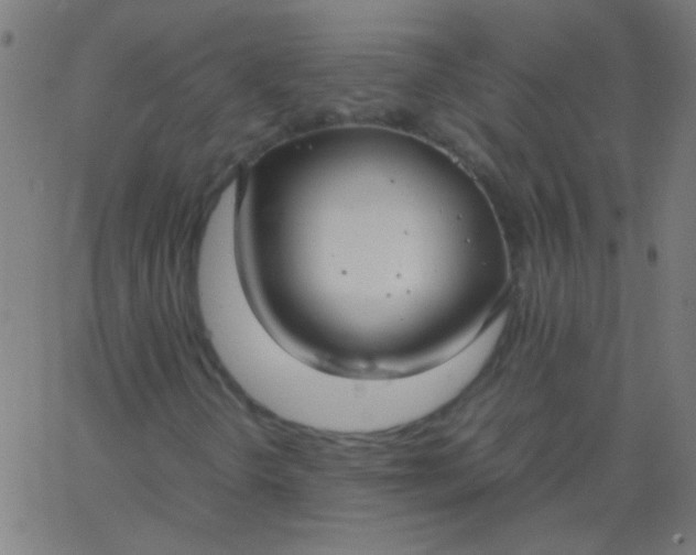 X0000067931298200604271958