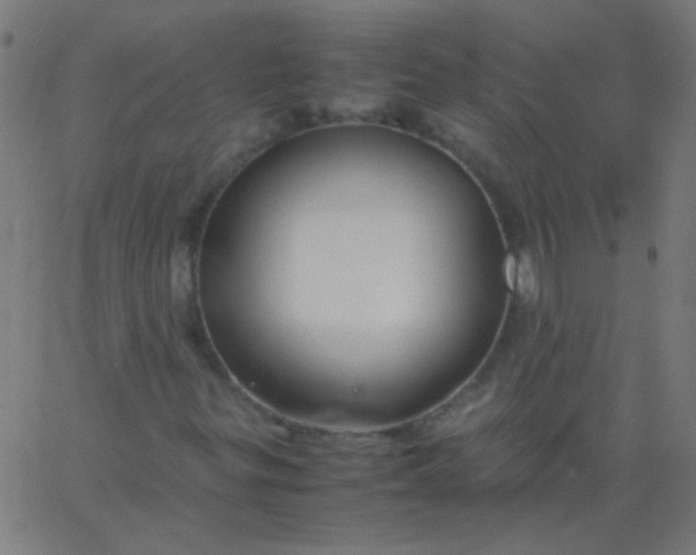 X0000067931299200604271958