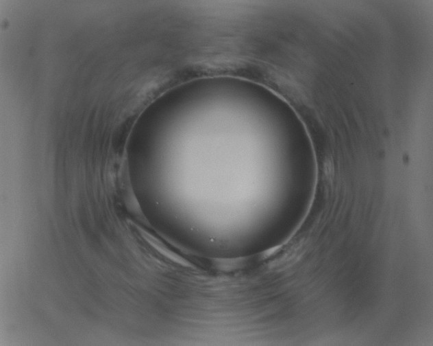 X0000067931300200604271958