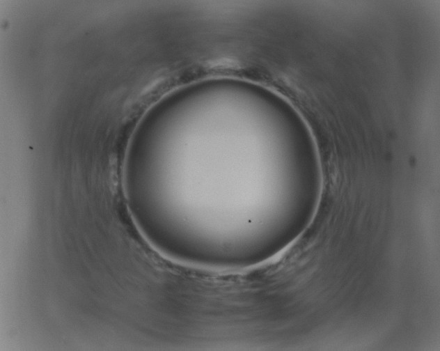 X0000067931301200604271958