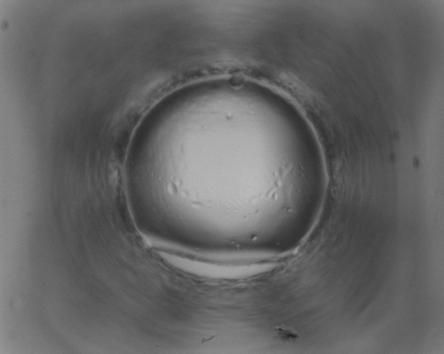 X0000067931302200604271958