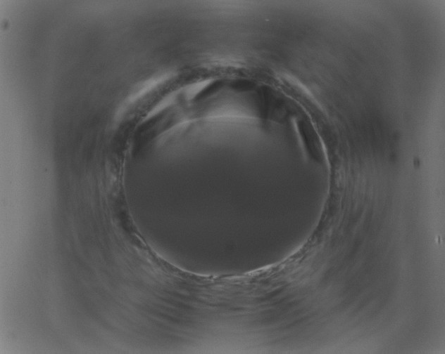 X0000067931303200604271958