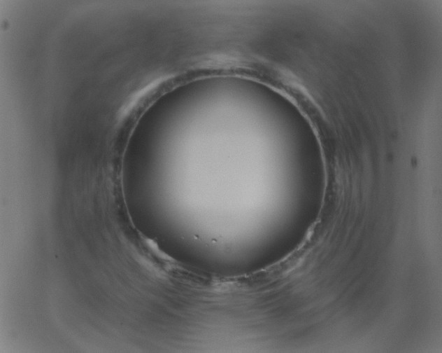 X0000067931304200604271958