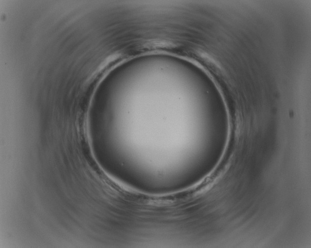 X0000067931305200604271958