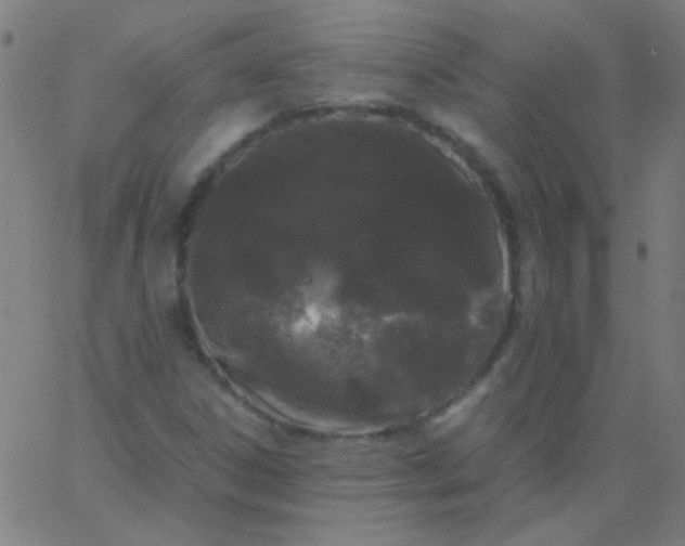 X0000067931306200604271958