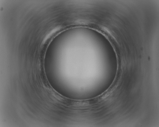 X0000067931307200604271958