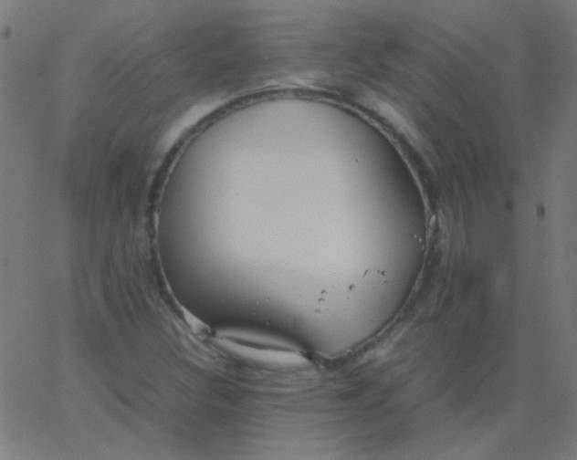 X0000067931308200604271958