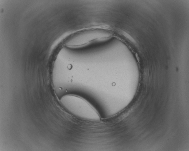 X0000067931310200604271959