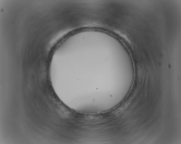 X0000067931311200604271959