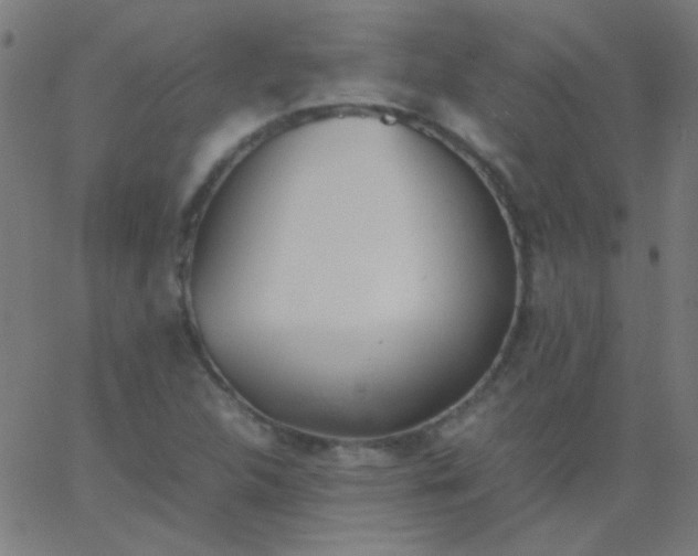 X0000067931312200604271959