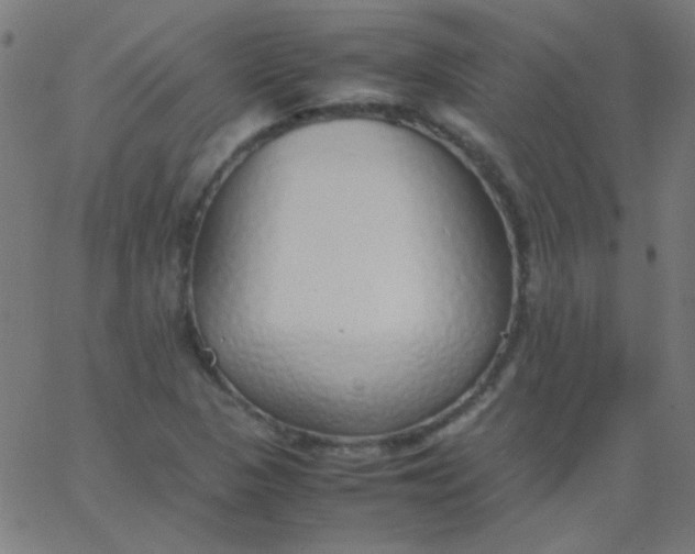 X0000067931313200604271959