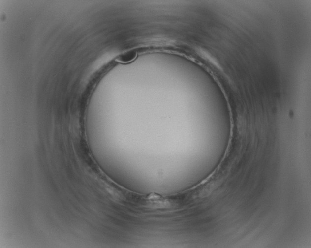 X0000067931315200604271959