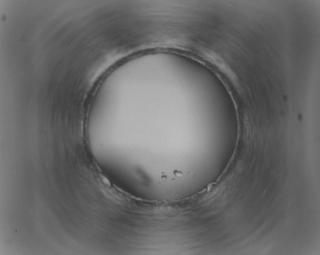 X0000067931316200604271959