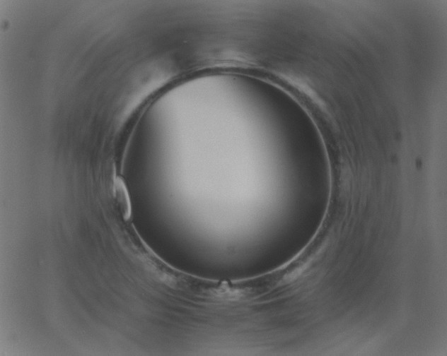 X0000067931317200604271959