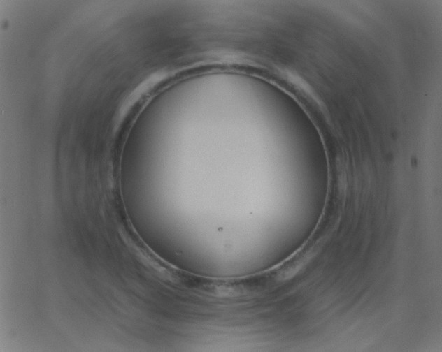 X0000067931318200604271959