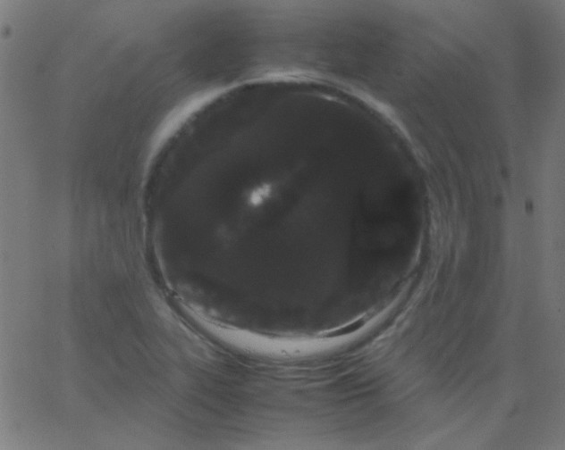 X0000067931319200604271959