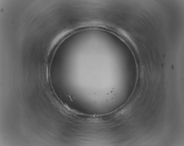 X0000067931320200604271959