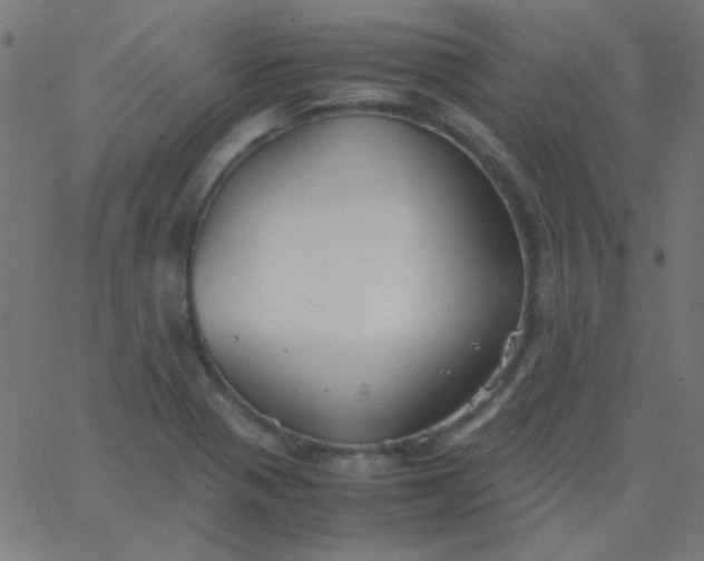 X0000067931321200604271959