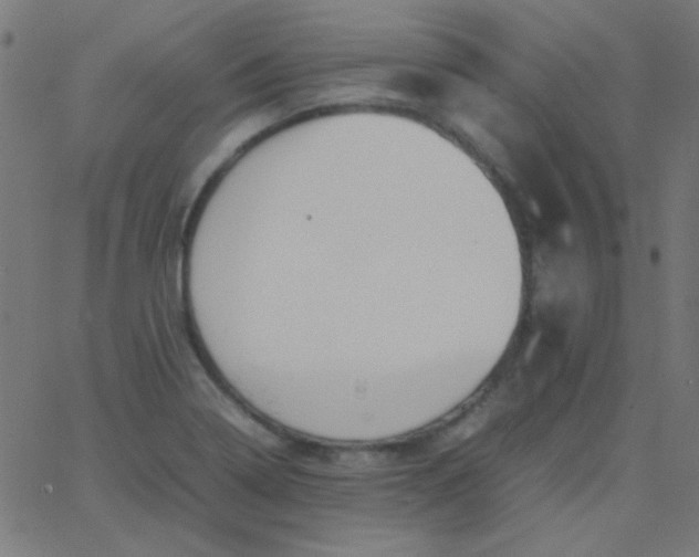 X0000067931322200604271959