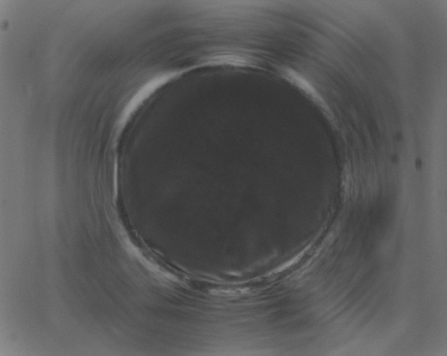 X0000067931323200604271959