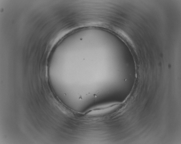 X0000067931324200604271959