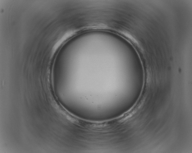 X0000067931325200604271959