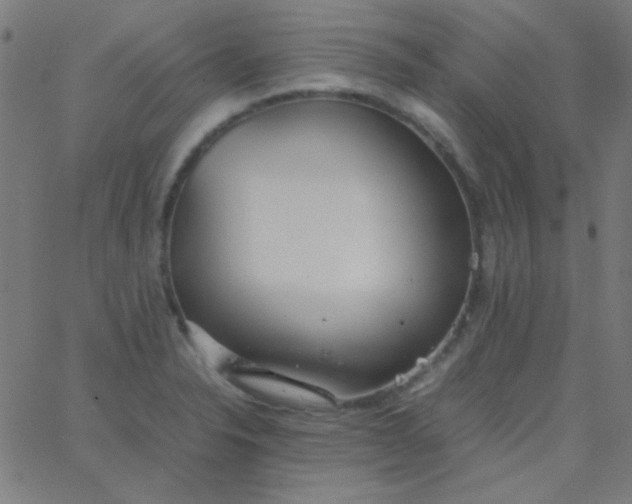 X0000067931326200604271959