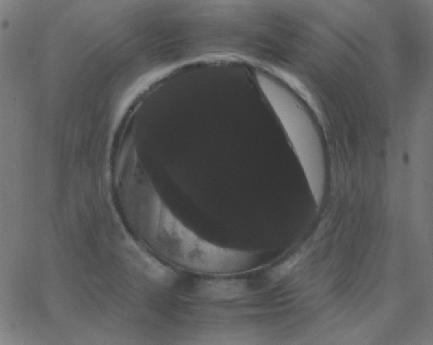 X0000067931327200604271959