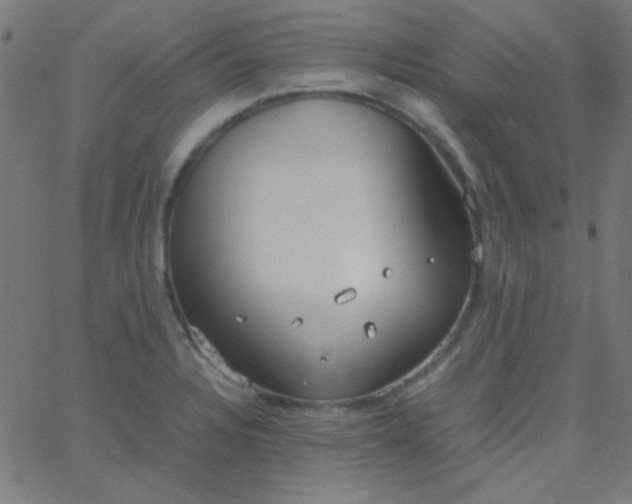 X0000067931328200604271959