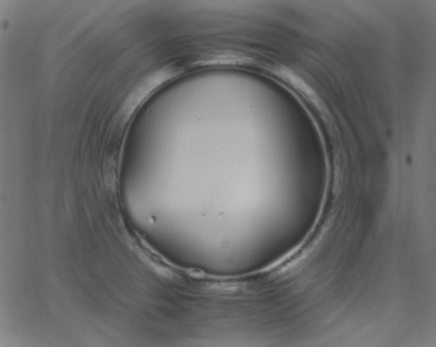 X0000067931329200604271959