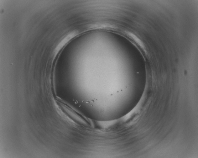 X0000067931330200604271959