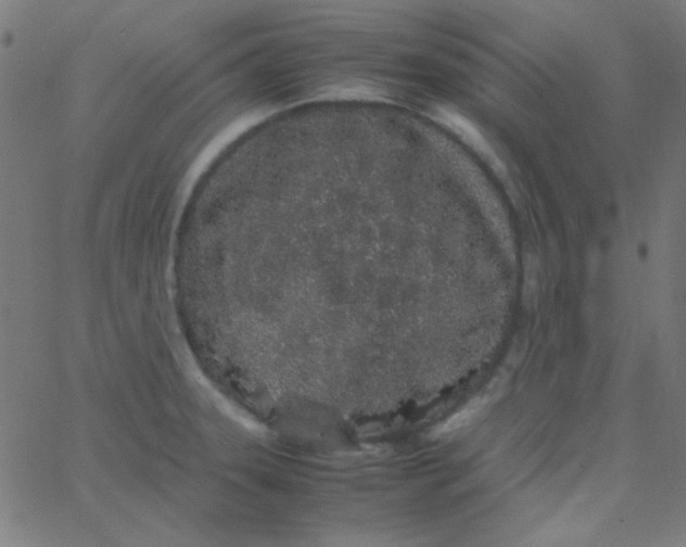 X0000067931331200604271959